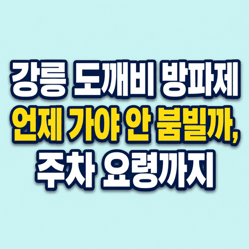 ChatGPT Image 2026년 7월 8일 오전 01 53 26 1 1