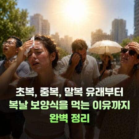 제목을 입력해주세요. 1 1 3