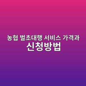 eb868ded9891 ebb28cecb488eb8c80ed9689 ec849cebb984ec8aa4 eab080eab2a9eab3bc ec8ba0ecb2adebb0a9ebb295 1786447461