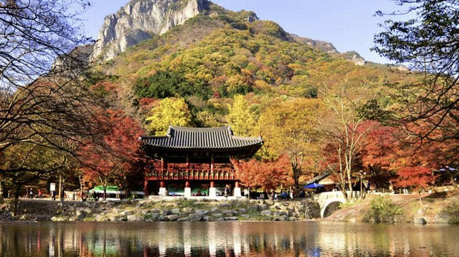 백양사 전경