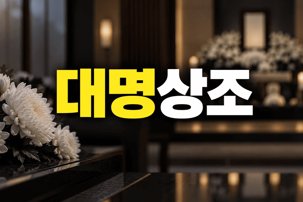 ChatGPT Image 2026년 9월 24일 오전 12 29 23 1 1