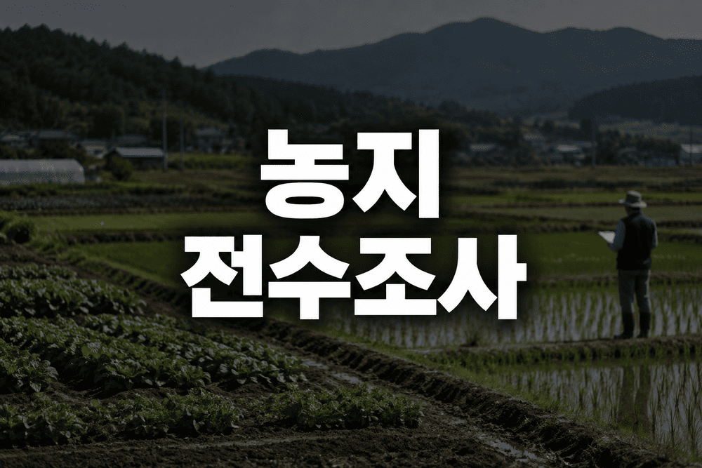 ChatGPT 이미지 2026년 9월 27일 오후 03 51 08 1 1
