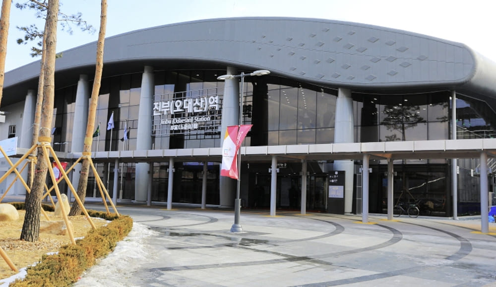 평창 발왕산 천년주목숲길