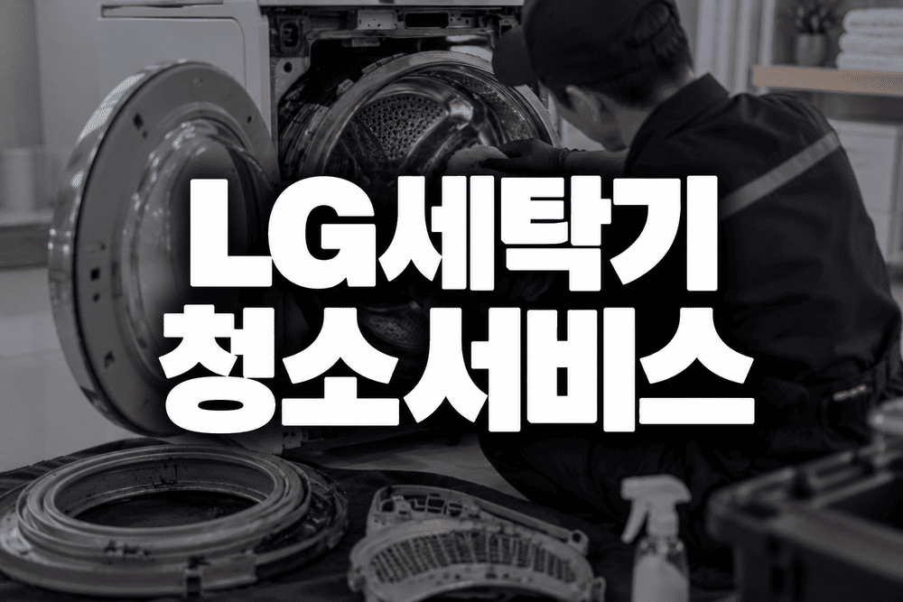 LG세탁기 청소서비스