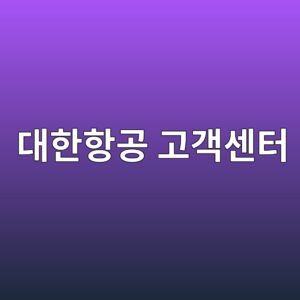 대한항공 고객센터 전화번호 및 운영시간 | 분실물 유실물 조회하기 안내 4 eb8c80ed959ced95adeab3b5 eab3a0eab09dec84bced84b0 1792930919