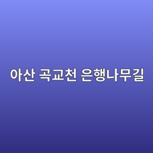 ec9584ec82b0 eab3a1eab590ecb29c ec9d80ed9689eb8298ebacb4eab8b8 1790842645