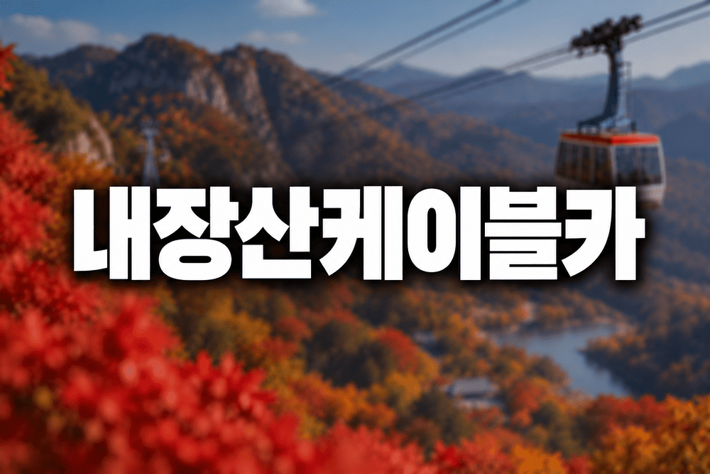 가을 단풍 속 내장산 케이블카 2 1