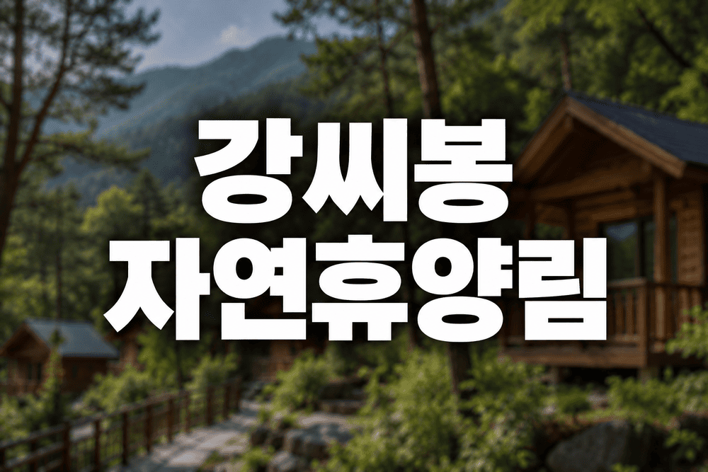 강씨봉 자연휴양림 포스터 1 1