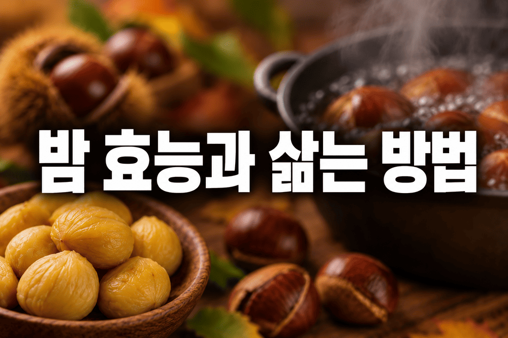 밤 효능 4가지와 밤 삶는 방법 건강하게 먹는 방법 2 밤 효능과 삶는 방법 1 1