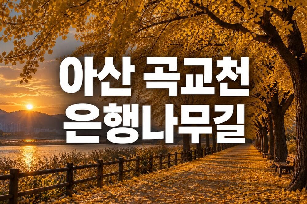 아산 곡교천 은행나무길
