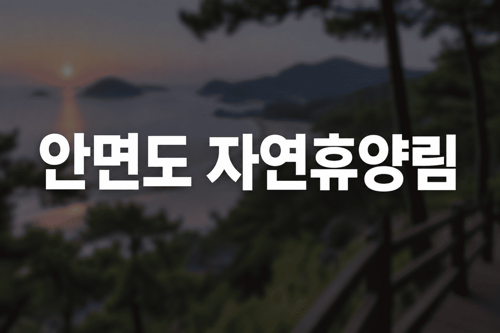 안면도 자연휴양림 해안 풍경 1 1