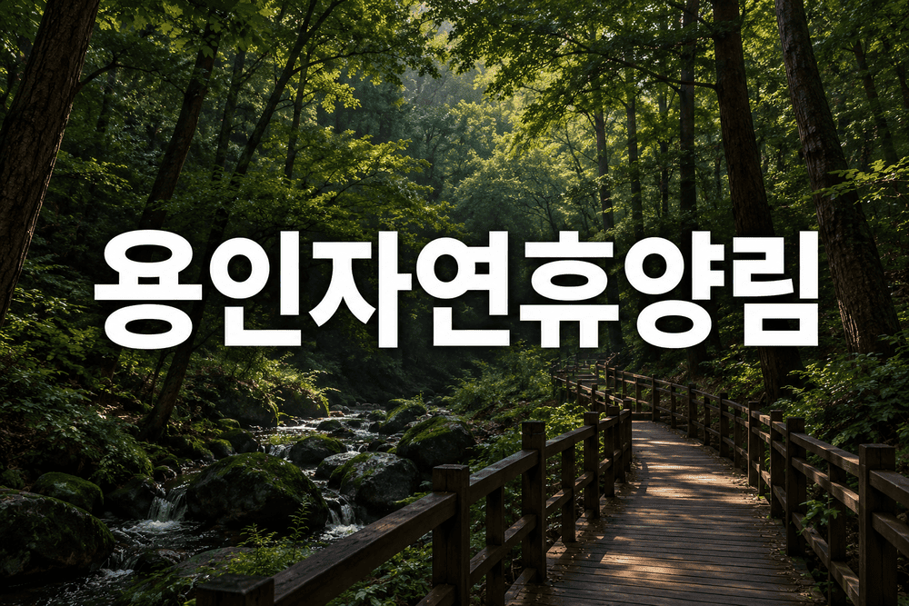 용인자연휴양림 숲길 1 1